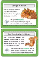 Vorschau - Unterrichtsreihen - Kartei und Arbeitsblätter Tiere im Winter - Seite 2