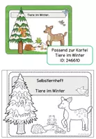 Vorschau - Unterrichtsreihen - Paket: Tiere im Winter - Karteikarten, Arbeitsblätte, Selbstlernheft - Seite 2