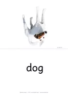 Vorschau - Bildkarten - pets - picture and word cards - english flashcards - Englisch Bildkarten - Seite 2
