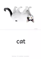 Vorschau - Bildkarten - pets - picture and word cards - english flashcards - Englisch Bildkarten - Seite 3