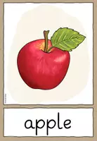 Vorschau - Fördermaterial/Inklusion - Obst - fruits - Flashcards - Wortkarten (Englisch) - Seite 1