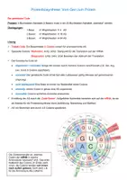 Vorschau - Arbeitsblätter - Genetischer Code/Proteinbiosynthese (AB mit Lösung) - Seite 1