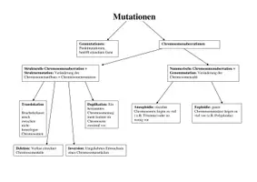 Vorschau - Poster - Überblick über Mutationen (Überblick) - Deckblatt