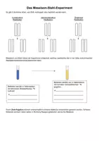 Vorschau - Arbeitsblätter - Das Meselson-Stahl-Experiment AB (DNA-Replikation) - Deckblatt