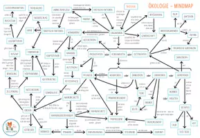 Vorschau - Arbeitsblätter - Ökologie - Mindmap - Seite 1