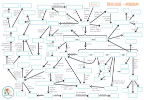 Vorschau - Arbeitsblätter - Ökologie - Mindmap - Seite 2