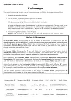 Vorschau - Arbeitsblätter - Strukturlegen: Rationale, Irrationale, Ganze und Natürliche Zahlen (Zahlenmengen; +Lösung) - Seite 2