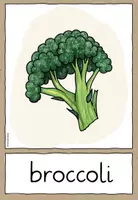Vorschau - Fördermaterial/Inklusion - Gemüse - Vegetables - Flashcards - Wortkarten (Englisch) - Seite 1