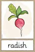 Vorschau - Fördermaterial/Inklusion - Gemüse - Vegetables - Flashcards - Wortkarten (Englisch) - Seite 2