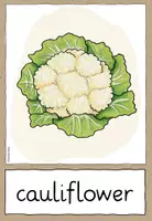 Vorschau - Fördermaterial/Inklusion - Gemüse - Vegetables - Flashcards - Wortkarten (Englisch) - Seite 3