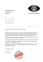 Vorschau - Unterrichtsreihen - Sandras Unterrichtsreihe zum Thema Lesestrategien (zum Spion in 6 Lektionen) 3-fach differenziert - Seite 3