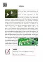 Vorschau - Arbeitsblätter - Informationen zum "Badmintonsport" - Seite 2