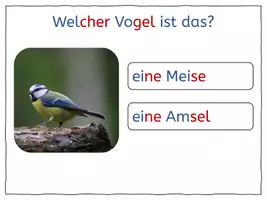 Vorschau - Arbeitsblätter - Vögel im Winter: Vögel bestimmen - interaktives pdf - Seite 3