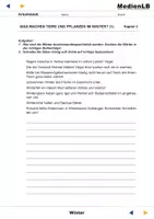 Vorschau - Arbeitsblätter - Winter - Arbeitsblätter mit Lösungen - Seite 2