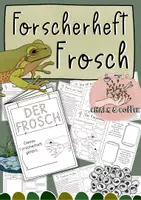 Vorschau - Stundenentwürfe - Der Frosch - Großes Materialpaket - Metamorphose, Körperbau & Lebensweise - Seite 1