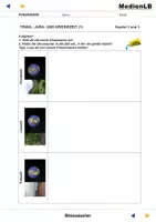 Vorschau - Arbeitsblätter - Dinosaurier - Echsen der Urzeit - Arbeitsblätter mit Lösungen - Seite 3