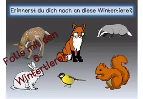 Vorschau - Interaktives Material - Tierspuren im Winter - interaktives Material ppsx - Seite 3