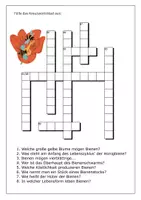 Vorschau - Arbeitsblätter - 2 Arbeitsblätter Bienen - auch für Homeschooling - Seite 1