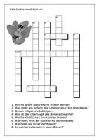 Vorschau - Arbeitsblätter - 2 Arbeitsblätter Bienen - auch für Homeschooling - Seite 3