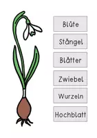 Vorschau - Arbeitsblätter - Wachsendes Megapaket Minihefte und Erarbeitungsmaterial Sachunterricht - Deckblatt