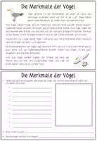Vorschau - Arbeitsblätter - VÖGEL Materialpaket - Lerntheke und Flipbook - Seite 3
