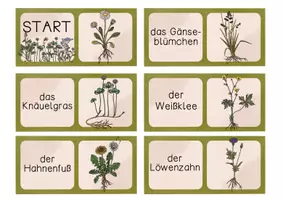 Vorschau - Spiele - Domino Wiesenpflanzen - Pflanzen auf der Wiese - zwei Versionen - Seite 1