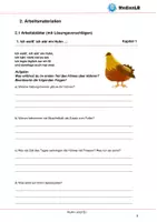 Vorschau - Arbeitsblätter - Huhn und Ei - Arbeitsblätter mit Lösungen - Deckblatt