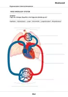 Vorschau - Arbeitsblätter - Blut - Ergänzungen mit Lösungen - Deckblatt