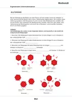 Vorschau - Arbeitsblätter - Blut - Ergänzungen mit Lösungen - Seite 2