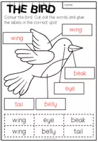 Vorschau - Arbeitsblätter - SPRING - The Bird: Cut and Glue - Seite 2