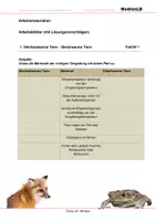 Vorschau - Arbeitsblätter - Tiere im Winter - Arbeitsblätter mit Lösungen - Deckblatt