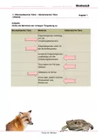 Vorschau - Arbeitsblätter - Tiere im Winter - Arbeitsblätter mit Lösungen - Seite 1