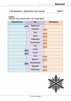 Vorschau - Arbeitsblätter - Tiere im Winter - Arbeitsblätter mit Lösungen - Seite 3