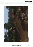 Vorschau - Arbeitsblätter - Ökosystem Moor - Farbfolien - Seite 1