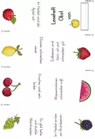 Vorschau - Arbeitsblätter - Faltheft Leseheft Obst 4-fach differenziert - Seite 3