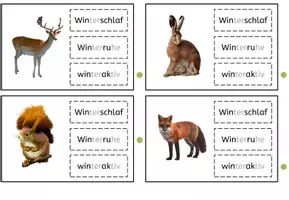 Vorschau - Bildkarten - Klammerkarten: Was machen die Tiere im Winter? - Seite 3