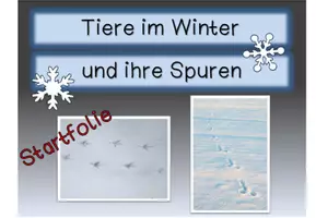 Vorschau - Interaktives Material - Tierspuren im Winter - interaktives PDF - Seite 3