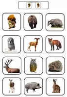 Vorschau - Bildkarten - Klettmappe: Tiere im Wald - Paare finden - Seite 1