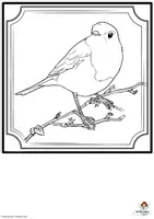 Vorschau - Mal- und Bastelvorlagen - Malvorlage zur Vogelstudie Vögel auf Ast Gemeinschaftsbild - Seite 1