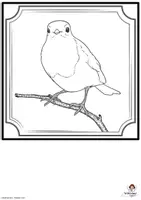 Vorschau - Mal- und Bastelvorlagen - Malvorlage zur Vogelstudie Vögel auf Ast Gemeinschaftsbild - Seite 2