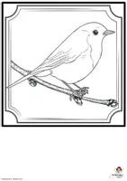 Vorschau - Mal- und Bastelvorlagen - Malvorlage zur Vogelstudie Vögel auf Ast Gemeinschaftsbild - Seite 3