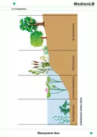 Vorschau - Präsentationen/Tafelbilder - Ökosystem See - Farbfolien - Deckblatt