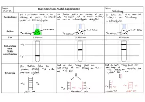 Vorschau - Arbeitsblätter - Das Meselson-Stahl-Experiment (11. Klasse Biologie) - Deckblatt