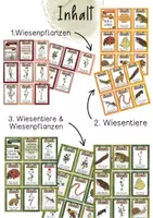 Vorschau - Stationenlernen - Ich habe...? Wer hat...? - Wiesenpflanzen und Wiesentiere - Seite 1