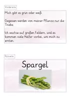 Vorschau - Stationenlernen - Rätselkarten saisonales Obst und Gemüse (HSU) - Seite 3