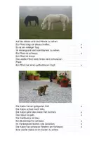 Vorschau - Bildkarten - Lesekarten Set 1 Pferd Katze - Deckblatt