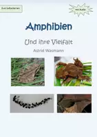 Vorschau - Arbeitsblätter - Amphibien zum Selbstlernen - Deckblatt