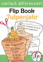 Vorschau - Stationenlernen - Frühblüher - Flip Book zur Tulpe - das Tulpenjahr, vierfach differenziert - Deckblatt
