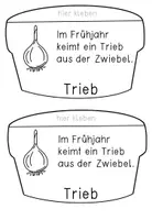 Vorschau - Stationenlernen - Frühblüher - Flip Book zur Tulpe - das Tulpenjahr, vierfach differenziert - Seite 3