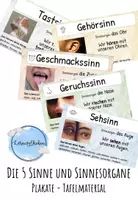Vorschau - Stationenlernen - Materialpaket - die 5 Sinne - Deckblatt